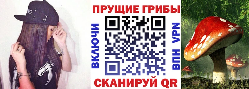 Купить закладки  Новохопёрск  Псилоцибиновые грибы GOLDEN TEACHER 